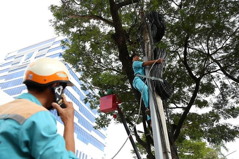 Công tác ứng phó với bão được triển khai tích cực. (Ảnh: PLO)