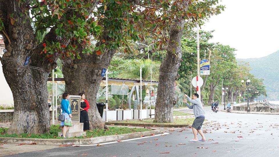 Khoảng 11h thì vẫn có nhiều người dân tranh thủ chụp hình trước bão