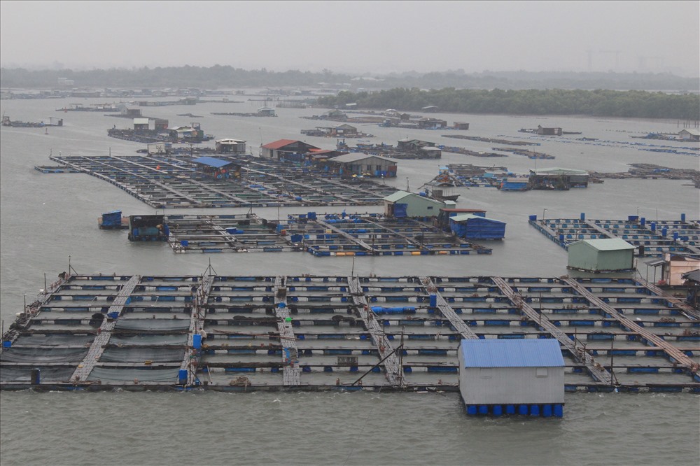 Người dân khu vực lồng bè đã di dời vào nơi an toàn