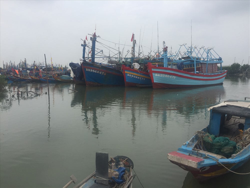 Tàu thuyền đánh cá cũng neo đậu vào nơi an toàn