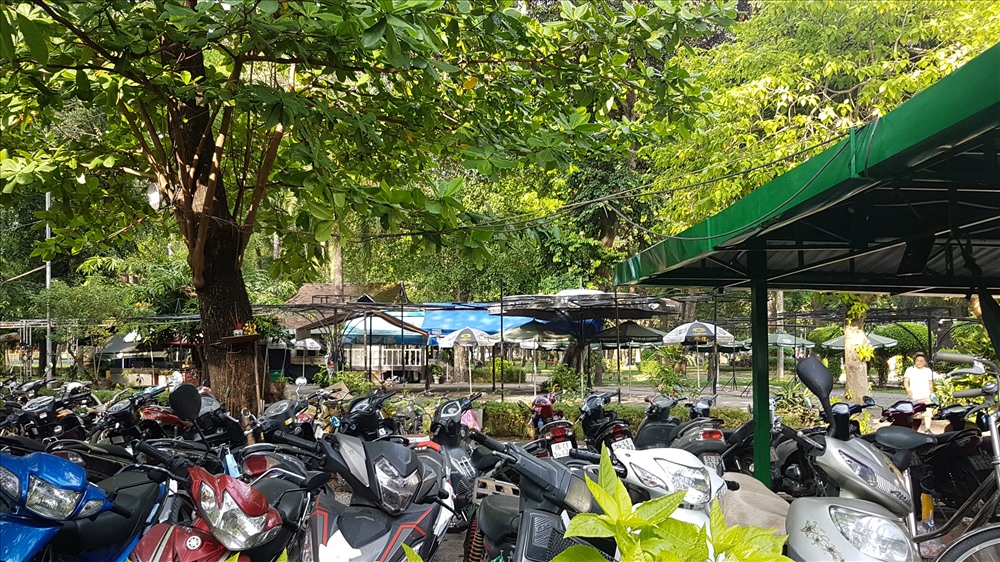 Dù bạt, xe máy che khuất tầm nhìn xanh mát bên trong công viên Tao Đàn. Ảnh: T.S