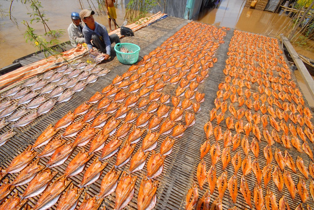 Tranh thủ trời nắng đem cá ra phơi.