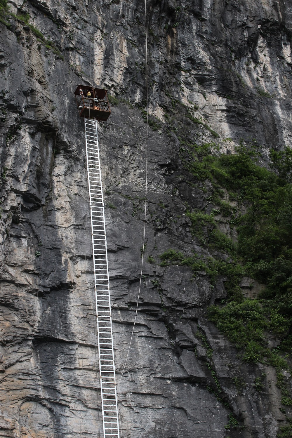 Ai đủ mạo hiểm chinh phục núi bằng cây thang này.