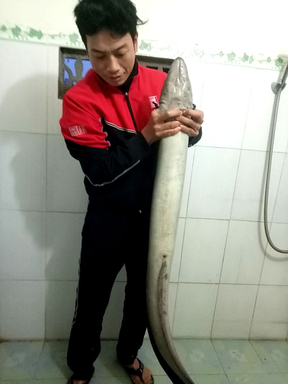 Con cá lệch mà người dân bắt được. Ảnh: NVCC.