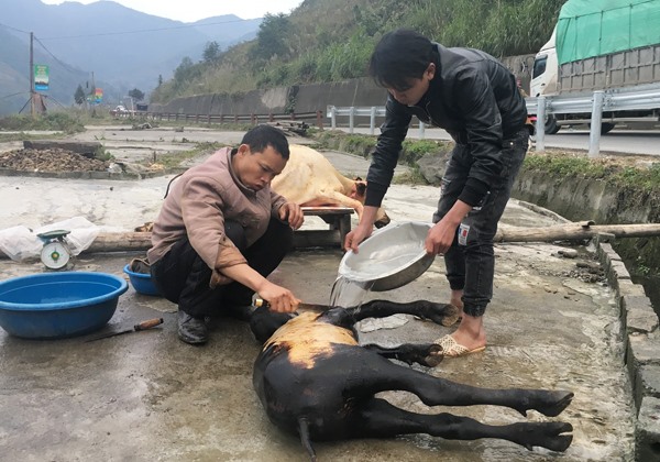Người dân buộc phải thịt để mong gỡ gạc phần nào