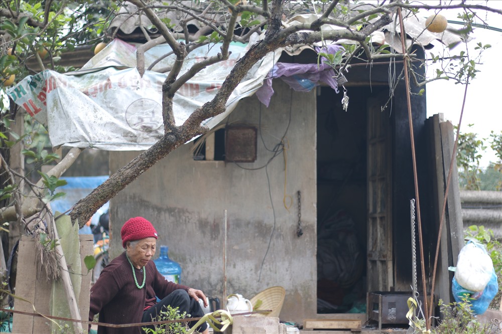 Cụ Lộc trông nom vườn bưởi.