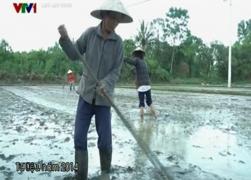Thu nhập ít ỏi từ nông nghiệp không đủ để bà Luyện trang trải cuộc sống