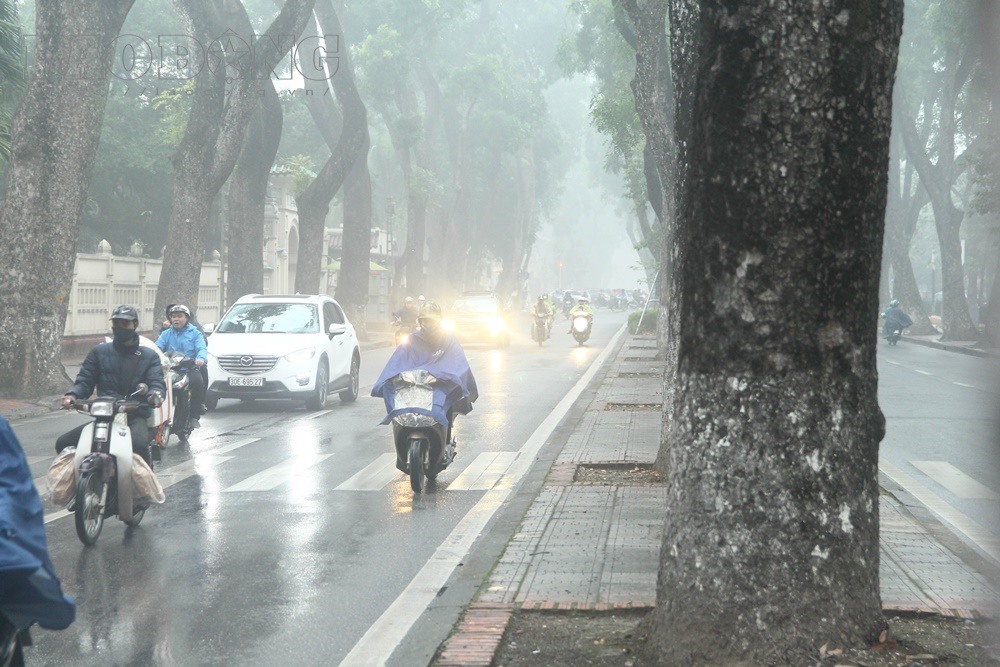 Để di chuyển, người tham gia giao thông phải bật đèn.