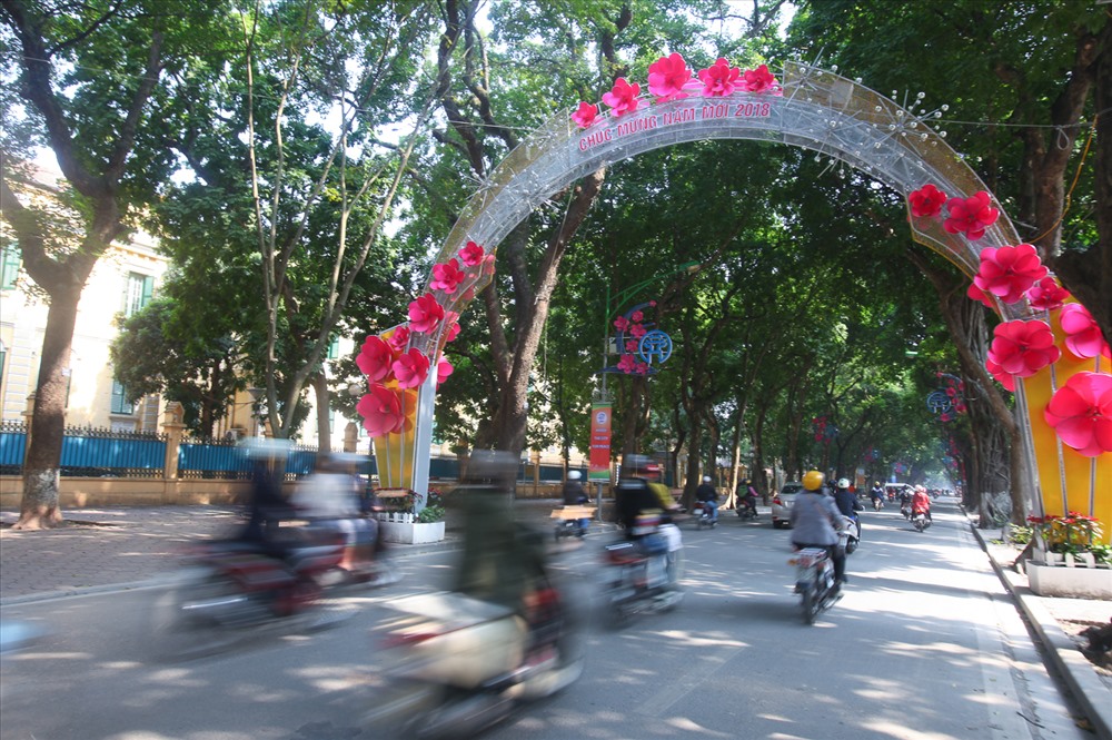 Phố Phan Đình Phùng được trang trí đèn, hoa như được khoác lên mình màu áo mới. Vào buổi tối, con phố này trở nên lung linh, rực rỡ.