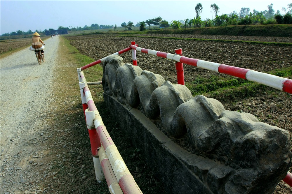 Tiến sĩ Phạm Văn Đấu (Hội sử học Thanh Hoá) đánh giá đôi rồng đá ở Thành nhà Hồ thuộc loại tượng rồng lớn và đẹp nhất hiện còn lại ở Việt Nam. Đôi rồng thể hiện nghệ thuật chạm khắc thời Trần lúc hưng thịnh với đặc điểm khỏe khoắn, đầy đặn. “Sử cũ không ghi chép, cũng không ai biết đôi rồng đá bị mất đầu từ bao giờ, nhưng giả thiết sau khi xâm lược nước ta, quân Minh cho chặt đầu rồng mang về báo công được nhiều người chấp nhận”, tiến sĩ Đấu cho biết.