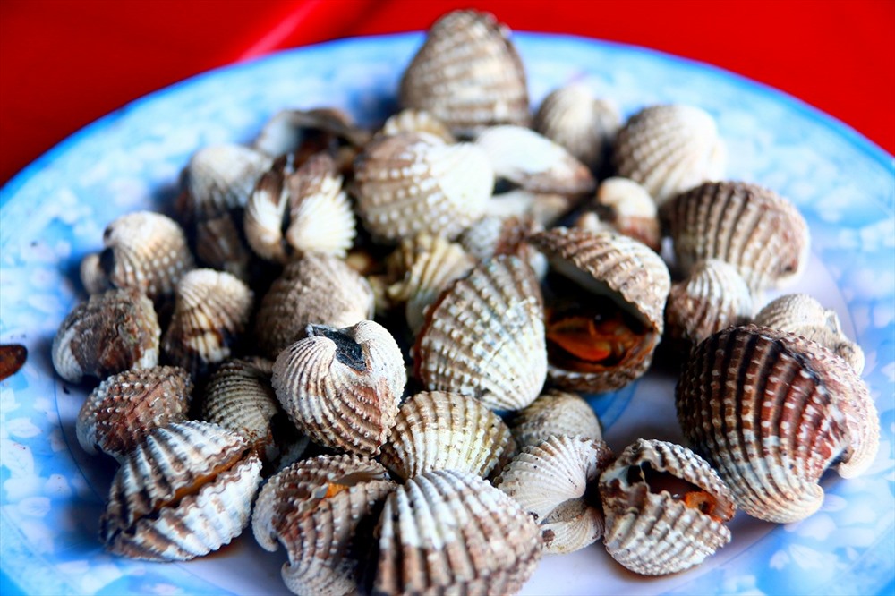 Ảnh: Văn Hào