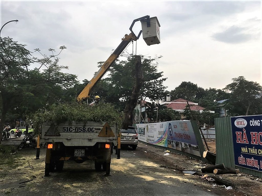 Lục lượng chức năng cùng công nhân Cty Công viên cây xanh thu dọn hiện trường, lập biên bản ghi nhận sự cố. Ảnh: T.S