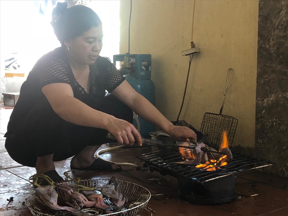 Số phận những chú chim trời tại sau khi bị dính bẫy