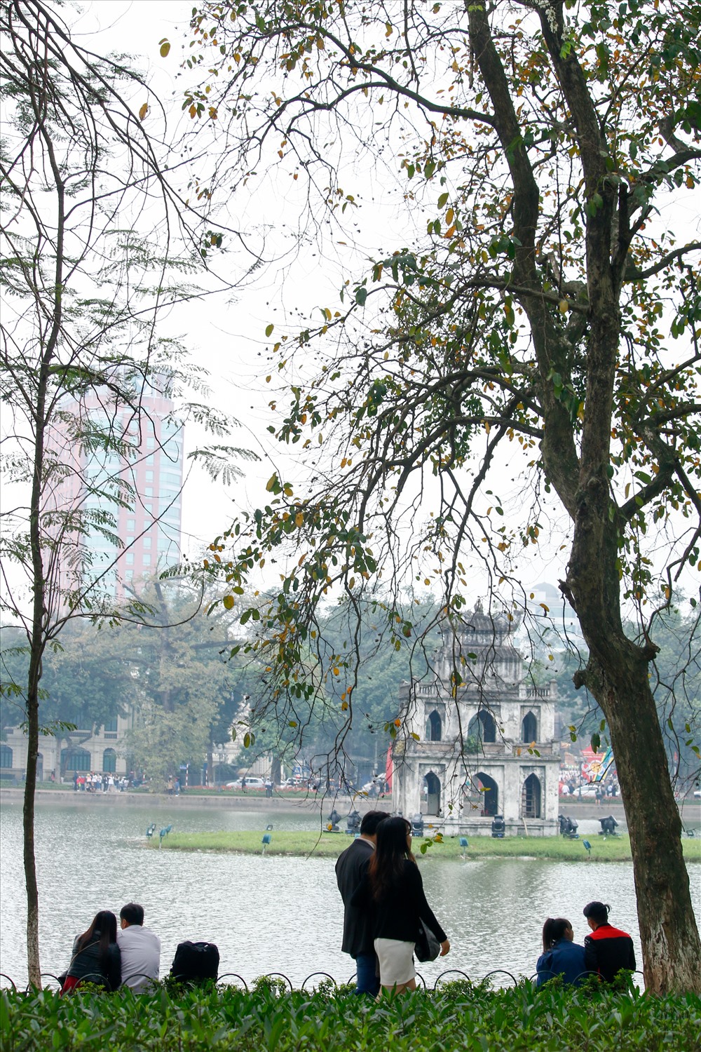 Cái lạnh bao phủ lên từng tán cây. Ảnh: Tạ Quang