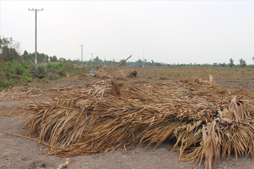 Vụ “10 triệu đồng 1.500m2 đất” ở Long An: Nhiều người tiếp tục bị lừa - ảnh 2 Vụ “10 triệu đồng 1.500m2 đất” ở Long An: Nhiều người tiếp tục bị lừa - ảnh 2