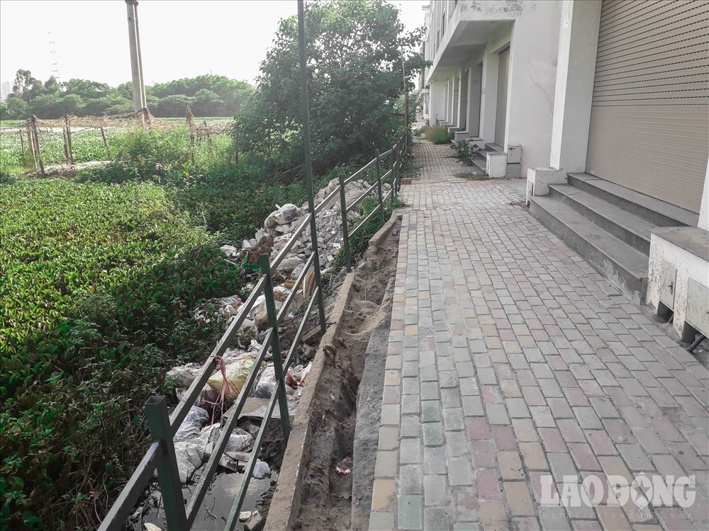 Hồ nước ven khu nhà trở thành nơi vứt rác. Những bao tải rác lổm ngổm bên lớp bèo bủa vây quanh khu nhà.