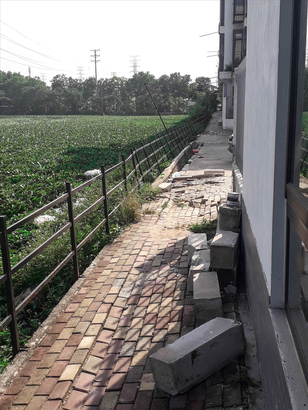Hàng rào nghiêng ngả đổ xuống hồ bất cứ lúc nào.