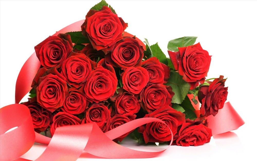 Mách nhỏ cánh mày râu những loài hoa ý nghĩa tặng phái đẹp dịp 20.10 - ảnh 2 Mách nhỏ cánh mày râu những loài hoa ý nghĩa tặng phái đẹp dịp 20.10 - ảnh 2