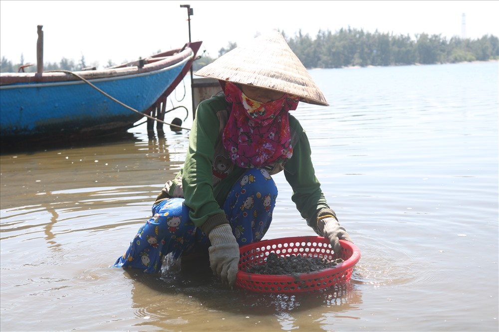 Gần 15 năm kể từ buổi chiều định mệnh của năm 2004, một cơn bão đã lấy đi sinh mạng của 20 thuyền viên trên chiếc tàu câu mục QNa 1431 TS. Cơn tai biếng đã làm những người phụ nữ nơi Bến Lỡ sớm trở thành goá phụ.