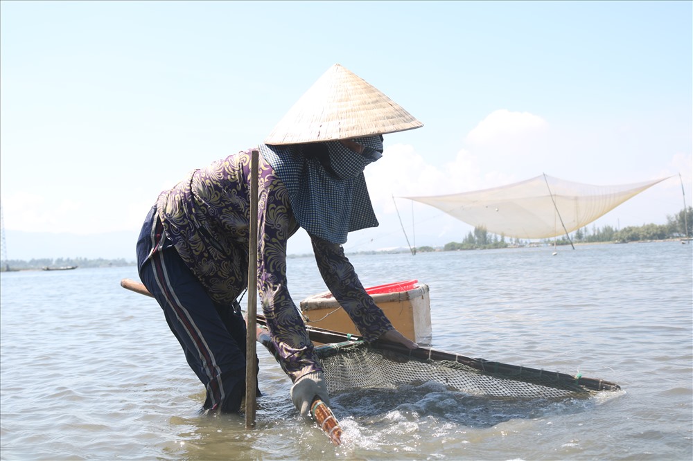 Có nhiều lời khuyên họ nên đi bước nữa, tuy nhiên, họ lắc đầu từ chối. Bởi lẽ, tình cảm người phụ nữ miền biển luôn thuỷ chung, mặn nồng như vị của biển...