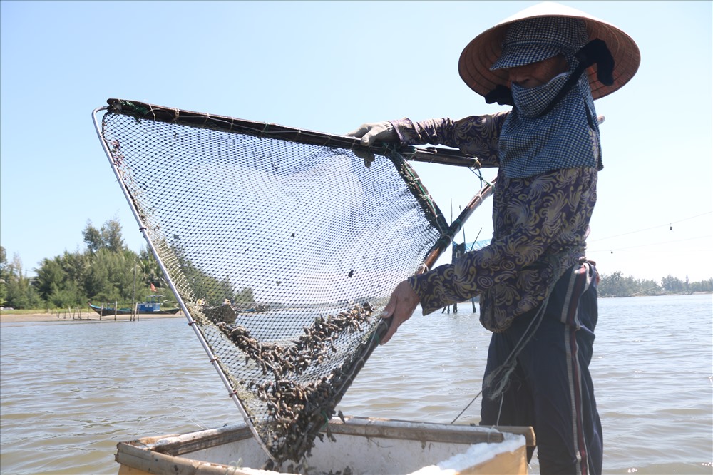 Tần tảo mưu sinh trên Bến Lỡ, bóng của những người phụ nữ ấy cứ dập dìu, trường dài theo con nước.