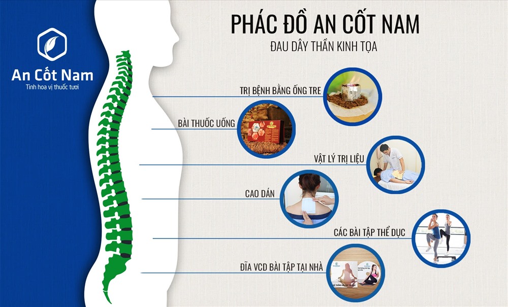 Bài thuốc điều trị đau thần kinh tọa từ An Cốt Nam
