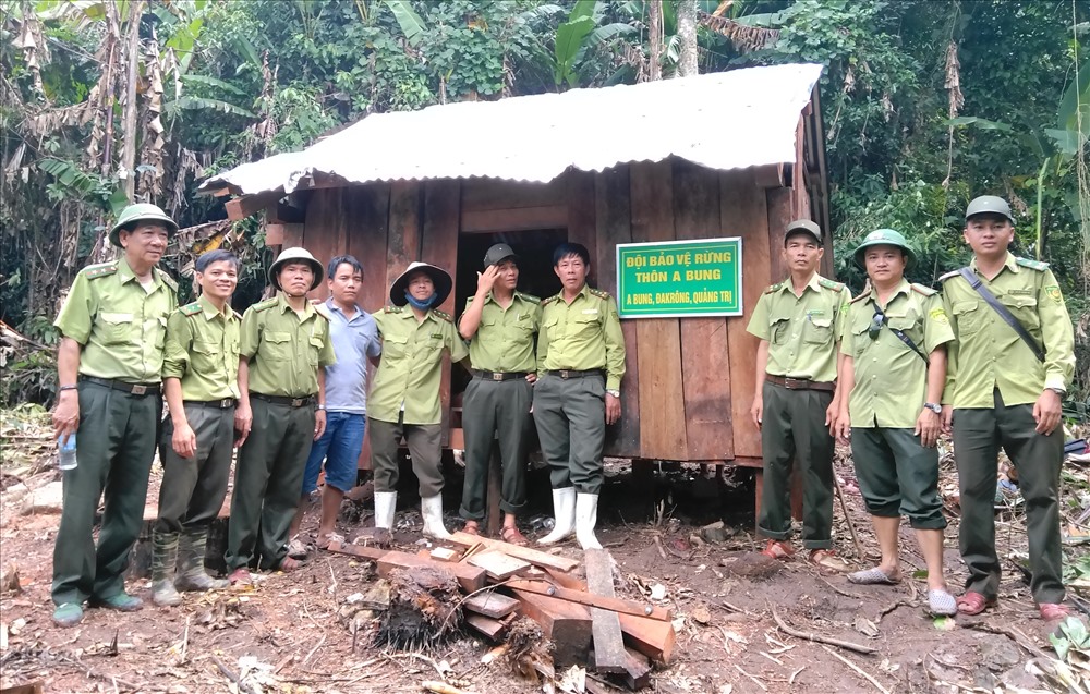 Kiểm lâm huyện Đakrông (Quảng Trị) và huyện A Lưới (Thừa Thiên Huế) kiểm tra thông tin cây gỗ bị đốn hạ tại địa điểm dựng chòi canh vào thời điểm chòi vừa được dựng lại. Ảnh: HT.