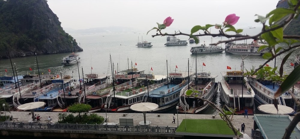 Tàu đưa du khách tham các hang Thiên Cung, Đầu Gỗ. Ảnh: Nguyễn Hùng