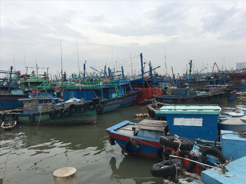 Tính đến 13 giờ ngày 23-11, tổng số tàu thuyền trong tỉnh đã vào bờ là 3.847 tàu/17.572 ngư dân. Trong ảnh: Ghe tàu về tránh trú bão tại cảng Sao Mai - Bến Đình (TP. Vũng Tàu) và cảng Bến Lội (Xuyên Mộc)
