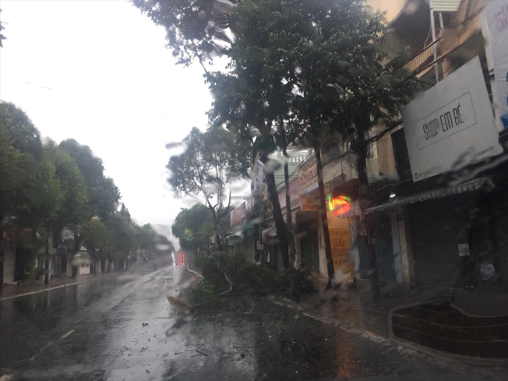 Cây xanh ngã xuống đường gây ảnh hưởng giao thông.
