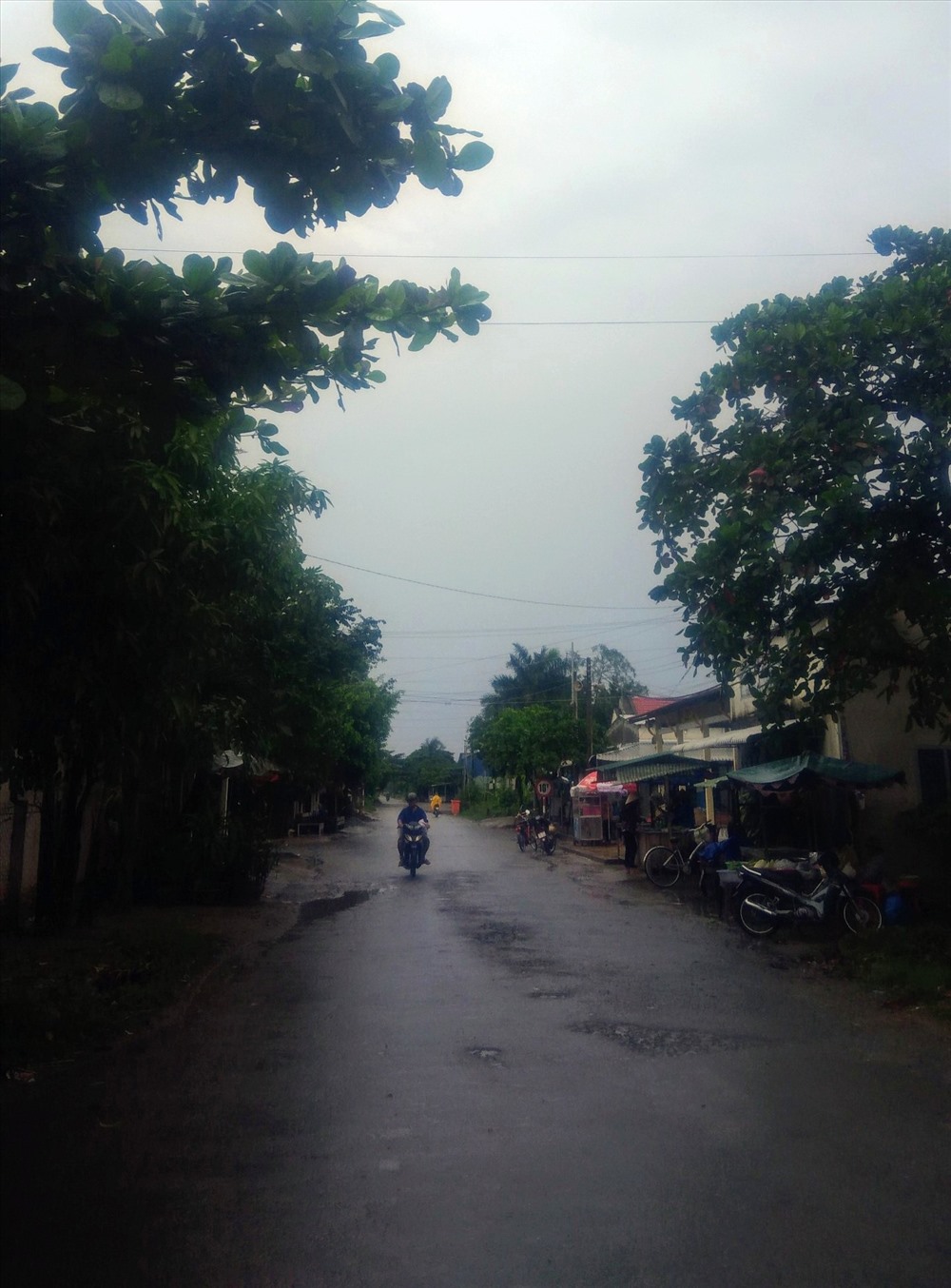 Khí trời âm u, chuyển màu xám xịt (ảnh chụp trên một tuyến đường ở Trà Vinh)