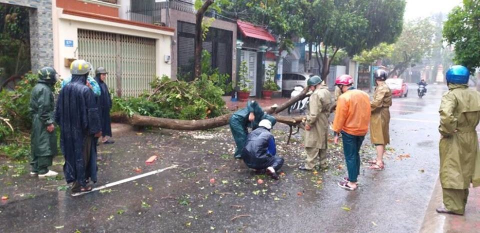 Lực lượng chức năng chặt hạ cây đổ, gây cản trở giao thông đi lại_Ảnh: BRT