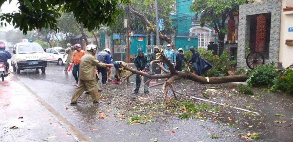 Lực lượng chức năng chặt hạ cây đổ, gây cản trở giao thông đi lại_Ảnh: BRT