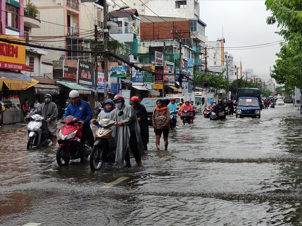 Nào ta cùng lội