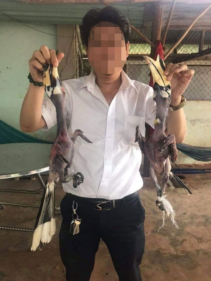 Chủ Facebook Tuan Kiet cho rằng chỉ mượn chim để chụp hình cho vui trên tinh thần sống ảo chứ kòng có ăn và làm thịt. 