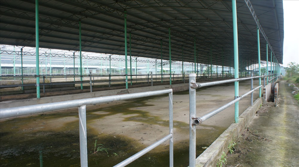 Nhiều dãy nhà thuộc dự án này nằm trên địa bàn 2 xã Cẩm Quang, Cẩm Mỹ, huyện Cẩm Xuyên trống không