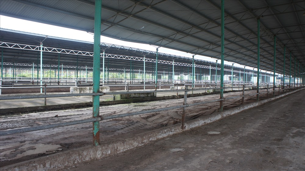 Nhiều dãy nhà thuộc dự án này nằm trên địa bàn 2 xã Cẩm Quang, Cẩm Mỹ, huyện Cẩm Xuyên trống không