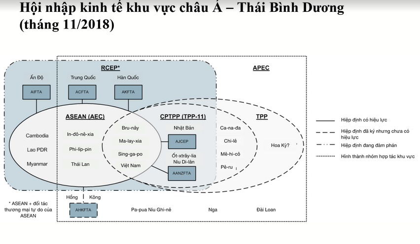 Việt Nam đang nằm ở trung tâm tác động của các FTA khu vực và toàn cầu.