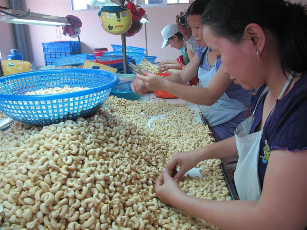 xuat khau dieu tang ve luong nam 2018