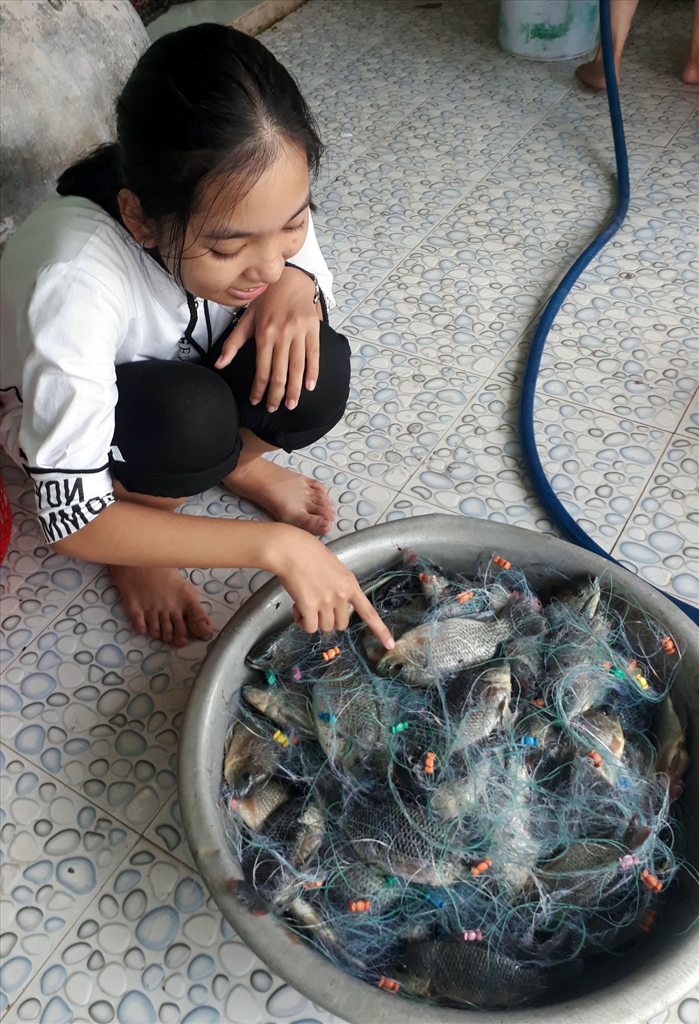 Thích thú với cá phi vừa mới giăng lưới từ vuông tôm lên (ảnh Nhật Hồ)