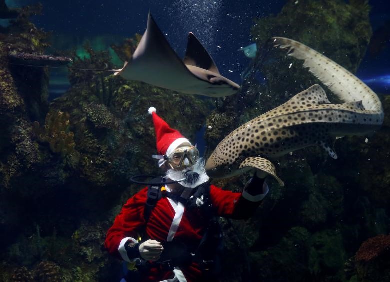 Người thợ lặn mặc đồ giống ông già Noel.