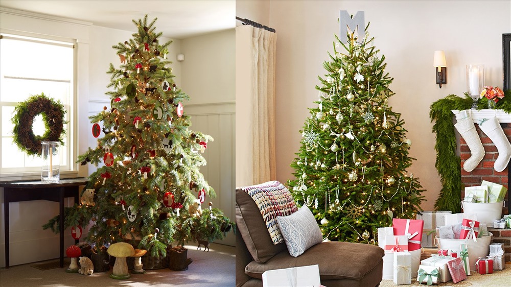 Không khí Giáng sinh sẽ mất đi một nửa nếu vắng bóng cây thông. Song không phải ai cũng biết cách trang trí để có được cây thông đẹp và phù hợp với ngôi nhà.