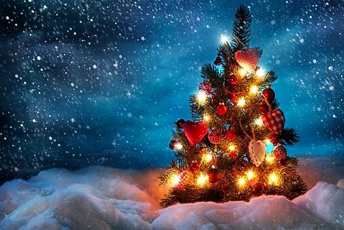 Cách trang trí cây thông Noel với những đồ có kích thước lớn. Ngoài những cách trang trí trên bạn có thể tận dụng những vật dụng có sẵn trong nhà như ống mút, chai nhựa, lon bia để trang trí cây thông… Với những cách trang trí này sẽ khiến cho ngôi nhà của bạn trở nên lung linh hơn.