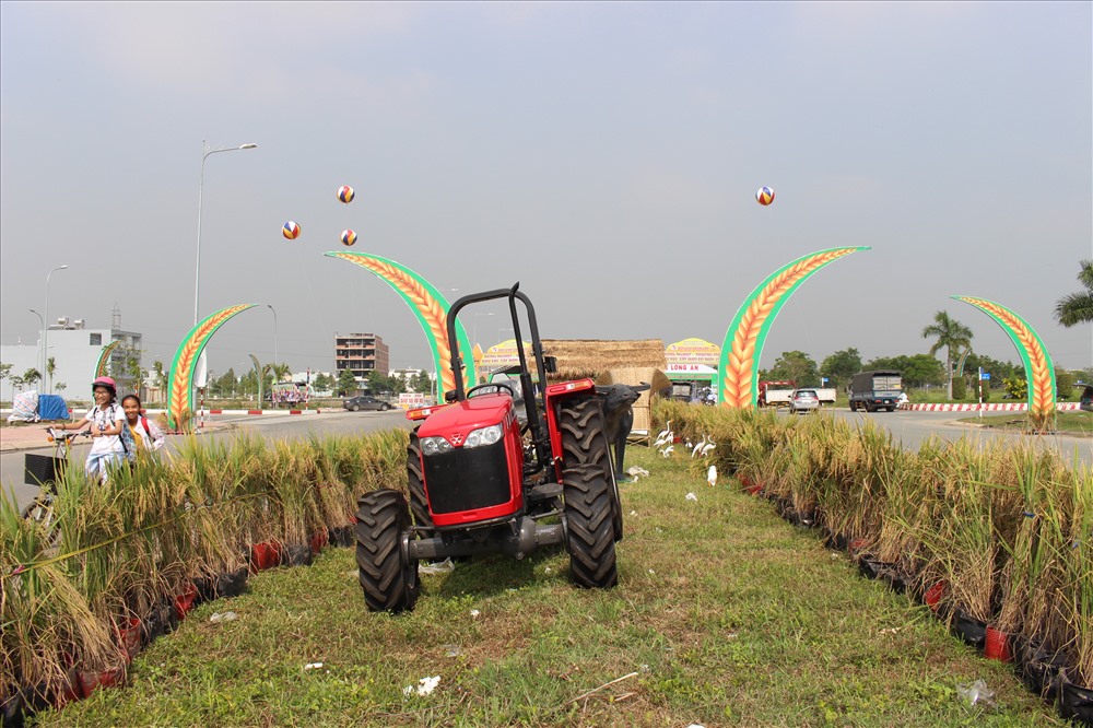 Một góc khu vực diễn ra Festival.