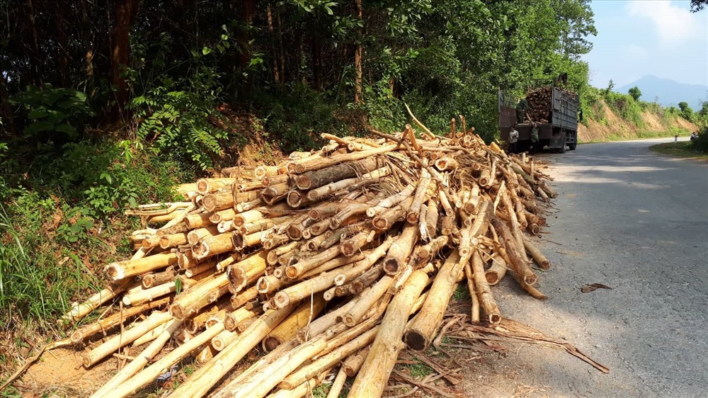 Hình ảnh dễ bắt gặp khi đi qua địa bàn các huyện miền núi