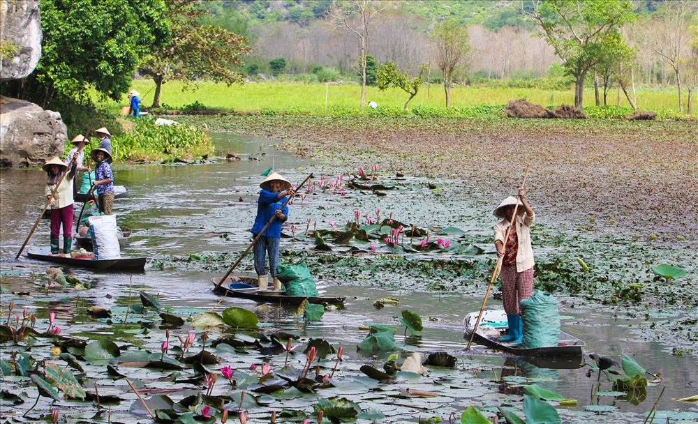Đây cũng là điểm tham quan lý tưởng của khách du lịch gần xa.