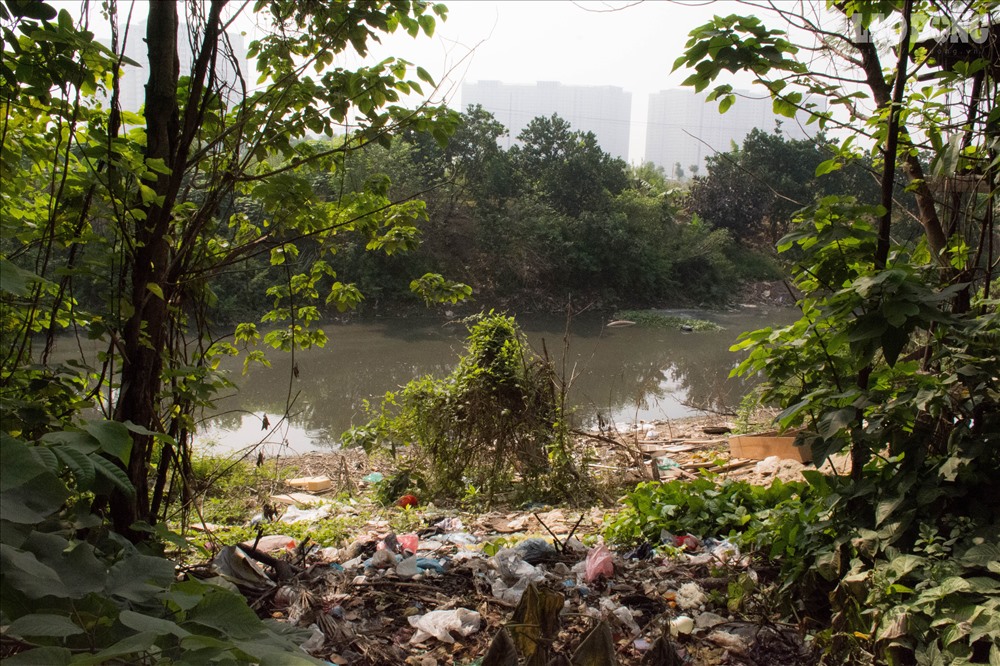 Thời gian qua, báo Lao Động nhận được phản ánh của bạn đọc liên quan đến tình trạng ô nhiễm tại khúc sông Nhuệ đoạn chảy qua phường Dương Nội (Hà Đông, Hà Nội).