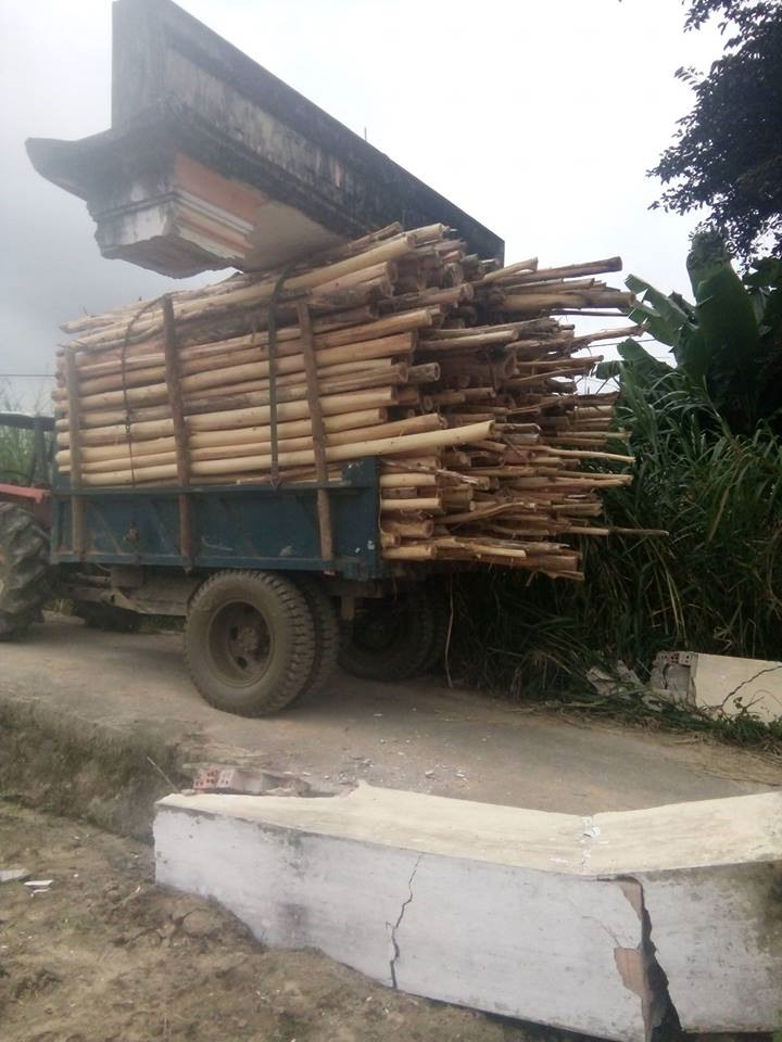 Sự việc hy hữu đã khiến người xem không nhịn được cười. Ảnh: FB Vuong Nguyen