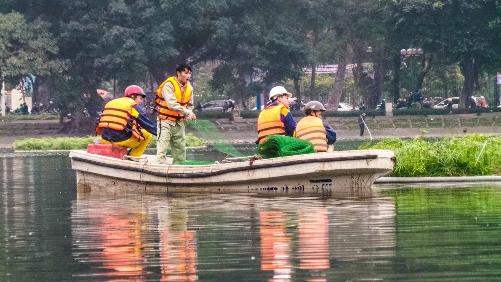 Việc đóng cọc, giăng lưới ở khu vực giữa hồ để quây nhốt đàn chim thiên nga, tránh việc bị mất trộm.