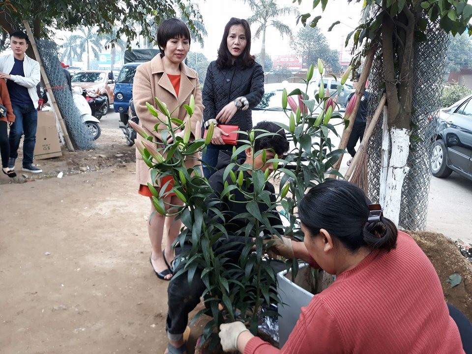 Ngoài hoa lan, ở Vinh còn rất nhiều loại hoa phong phú khác. ảnh:HQ